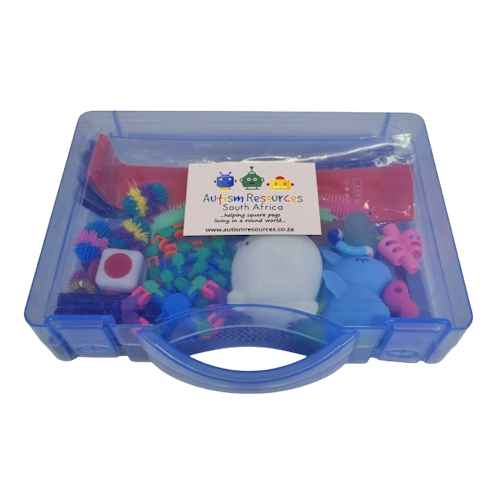 Autism resources toys online